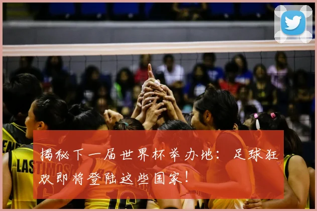 揭秘下一届世界杯举办地：足球狂欢即将登陆这些国家！