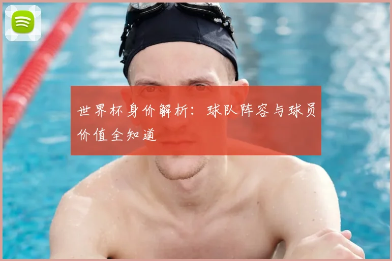 世界杯身价解析：球队阵容与球员价值全知道