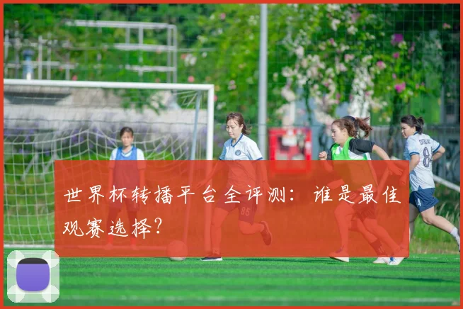 世界杯转播平台全评测：谁是最佳观赛选择？