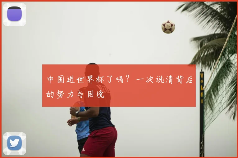 中国进世界杯了吗?一次说清背后的努力与困境