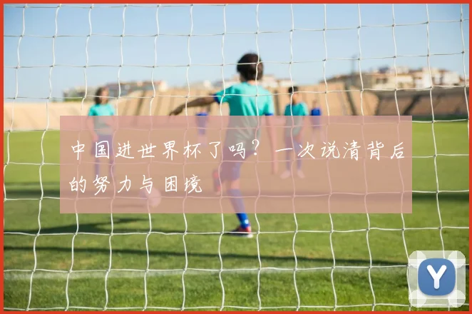 中国进世界杯了吗?一次说清背后的努力与困境