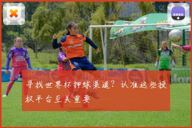 寻找世界杯押球渠道？认准这些授权平台至关重要