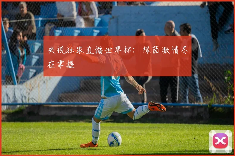 央视独家直播世界杯：绿茵激情尽在掌握