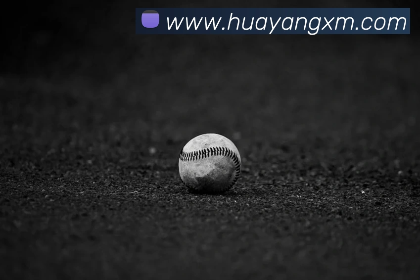 《九游》官方网站服务体系